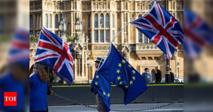 Britain, EU publish text of narrow Brexit trade deal - Times of India