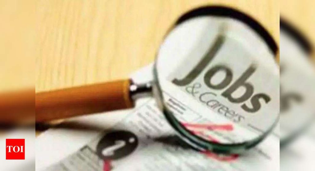 Govt to launch new quarterly jobs survey from March 2021 - Times of India