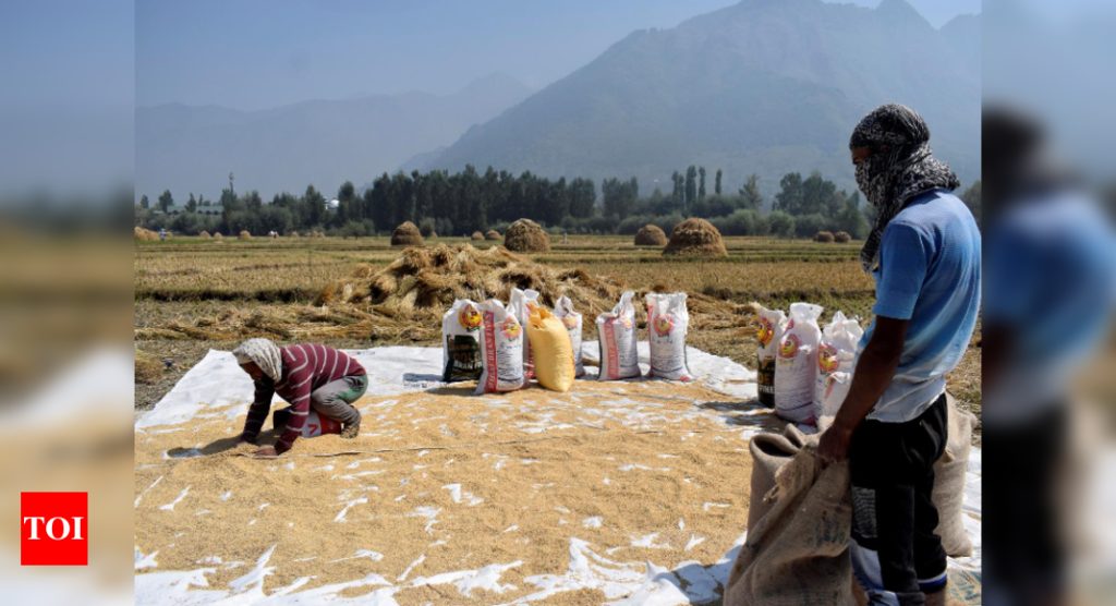 India, Bangladesh finalising first bilateral rice deal in 3 years: Report - Times of India