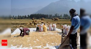 India, Bangladesh finalising first bilateral rice deal in 3 years: Report - Times of India