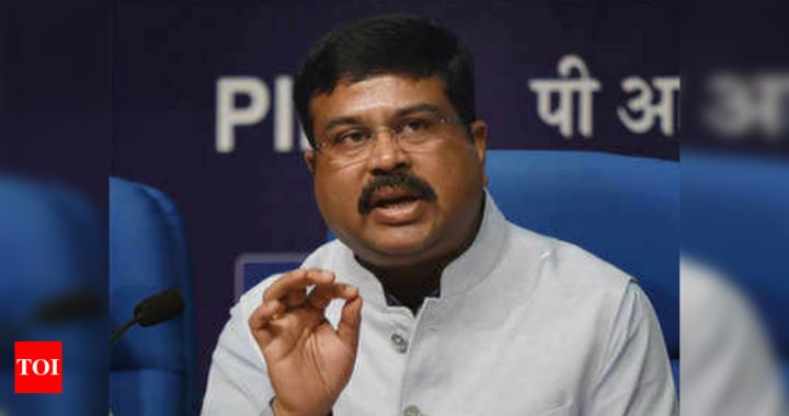 India plans $60 billion investment in gas infra, says Pradhan - Times of India