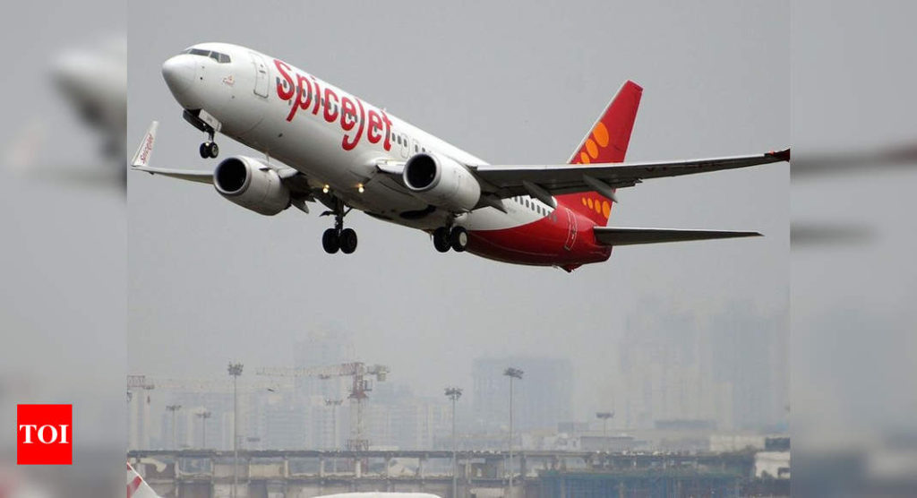 SpiceJet ties up with Om Logistics for Covid-19 vaccine transportation - Times of India