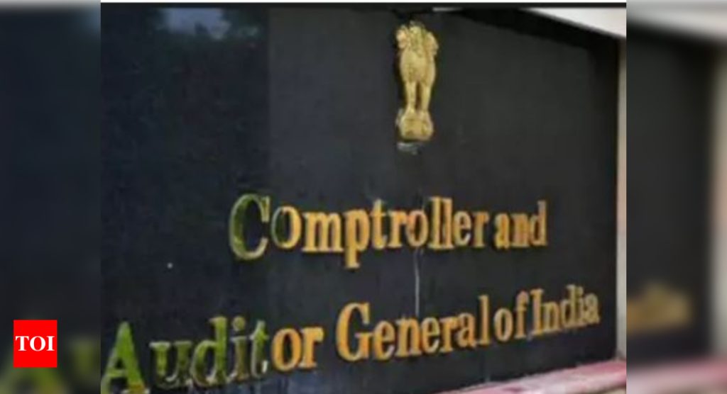 CAG writes to finance ministry, seeks performance audit details of PSU banks recapitalisation - Times of India
