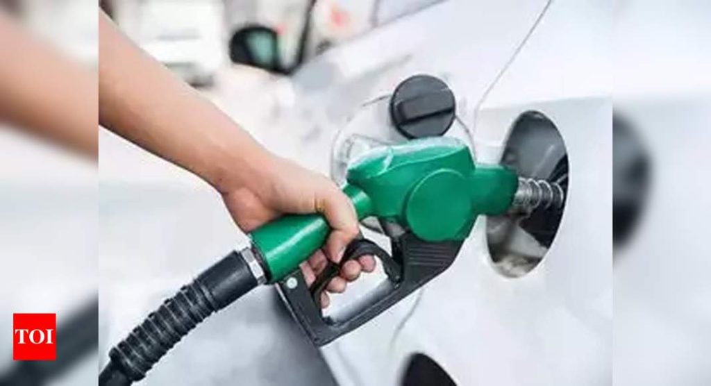 Fuel demand scales 11-month peak in December as recovery gathers pace - Times of India