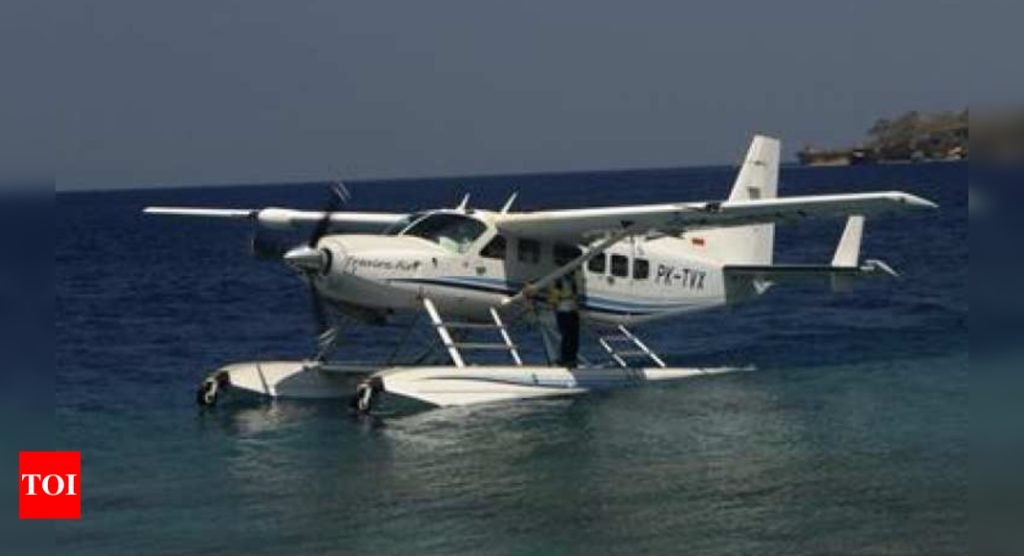 Govt plans seaplane service on Delhi's Yamuna riverfront - Times of India