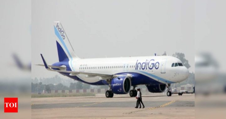 IndiGo 8th biggest airline in terms of flights this month; UAE-India second busiest route - Times of India