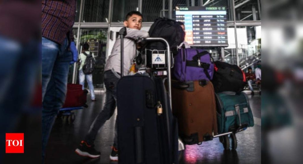 Domestic flight fares: No check-in bag? Prepare to fly cheap on domestic flights once fare bands go | India Business News - Times of India