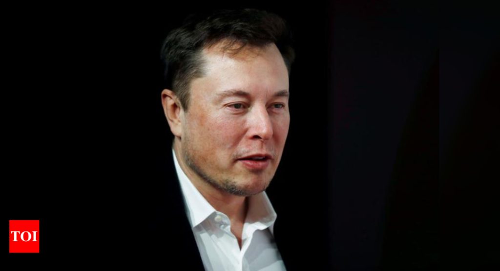 Elon Musk says bitcoin is slightly better than holding cash - Times of India