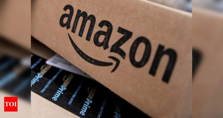 Government rejects Amazon plea against 'country of origin' notice - Times of India