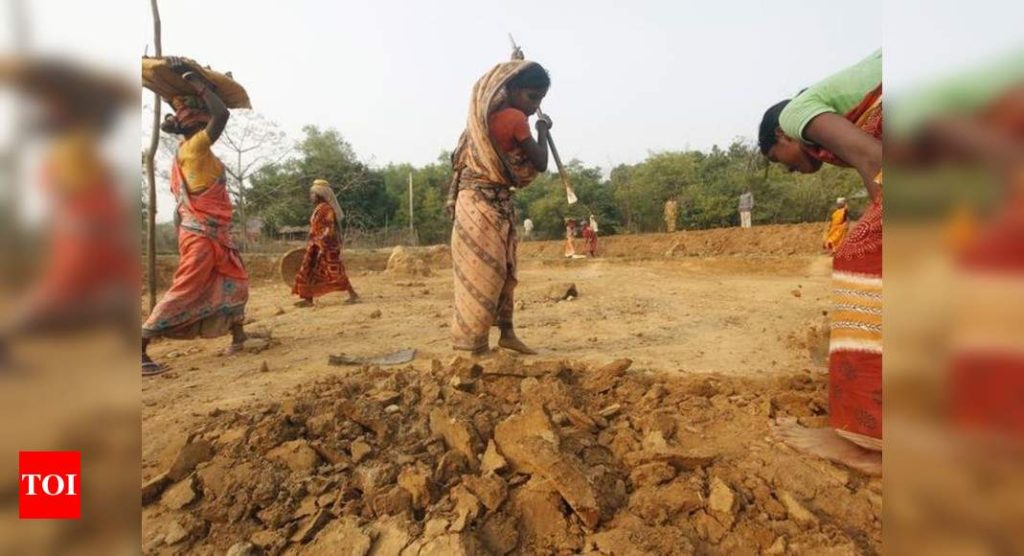 Highest ever spending under MNREGA during FY21: Finance minister - Times of India