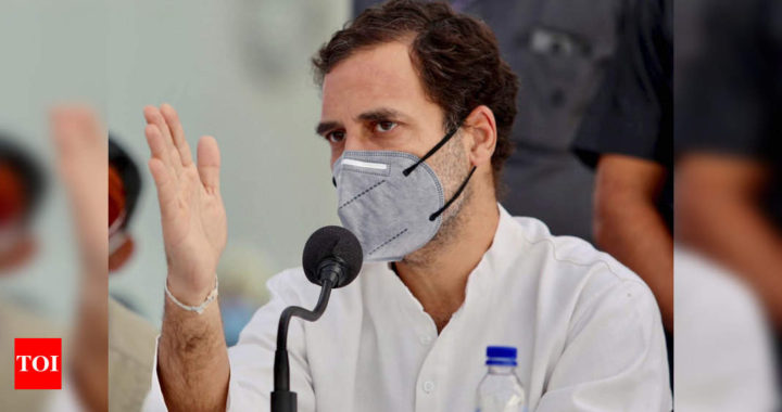 Rahul Gandhi: MSMEs 'betrayed' in 'crony-centric' budget | India Business News - Times of India