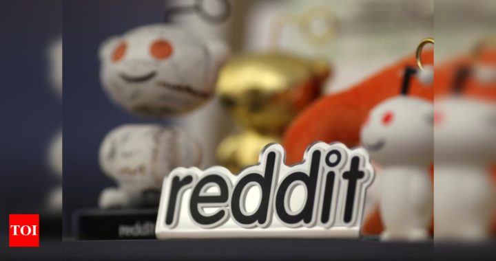 Reddit's valuation doubles to $6 billion after new $250 million funding - Times of India