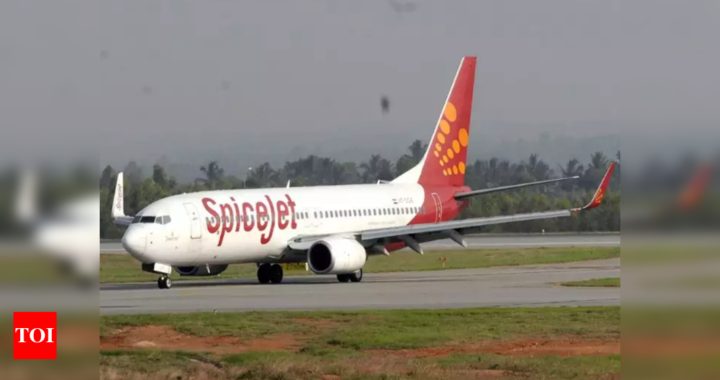 SpiceJet Q3 results:  SpiceJet posts Rs 57 crore loss in October-December quarter - Times of India