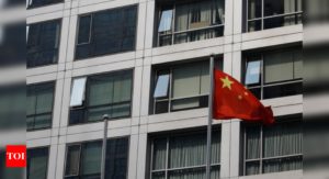 'The police will visit you': Why GameStonk won't come to China - Times of India