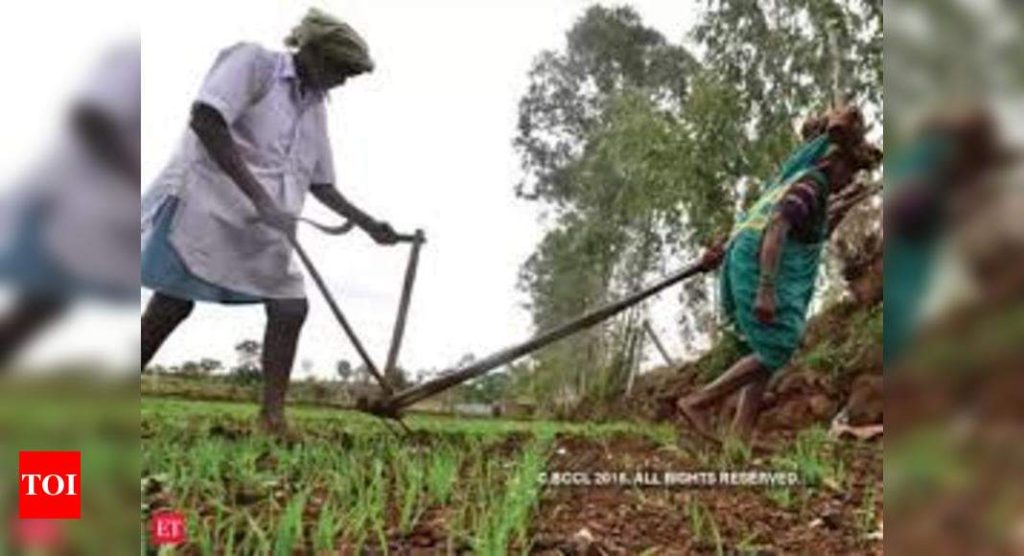 ‘Bitter harvest’: Farmers’ unions up ante over MSP - Times of India