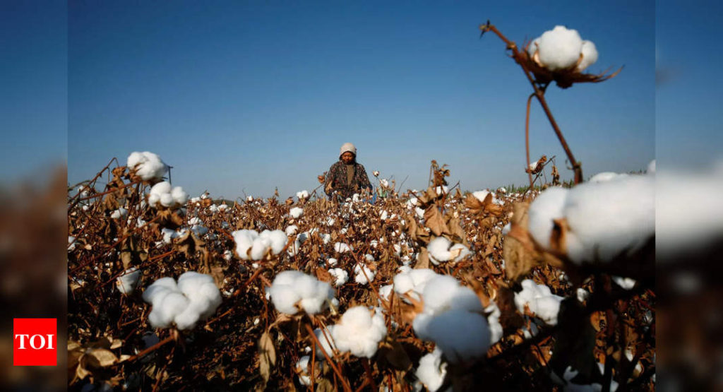 AEPC urges government to put restrictions on cotton yarn exports - Times of India