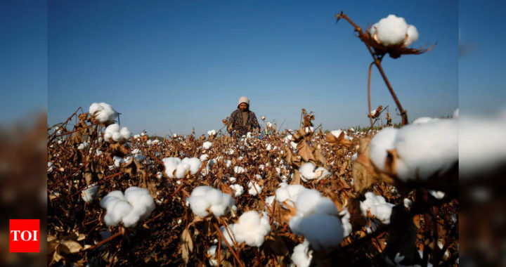 AEPC urges government to put restrictions on cotton yarn exports - Times of India