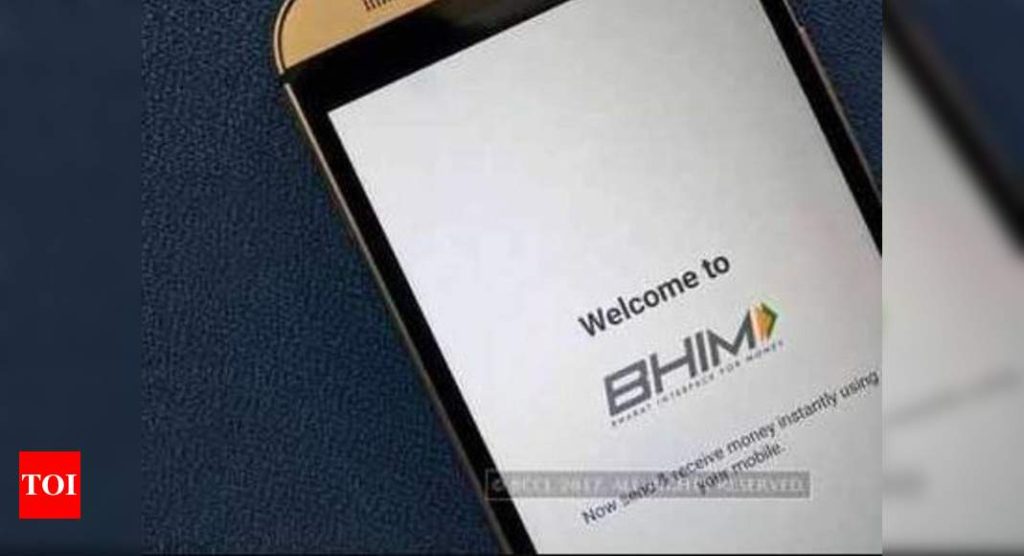 BHIM users to get in-app resolution - Times of India