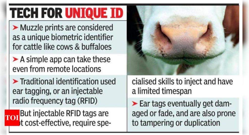 Use of muzzle prints may double cattle insurance business - Times of India