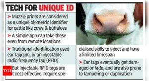 Use of muzzle prints may double cattle insurance business - Times of India