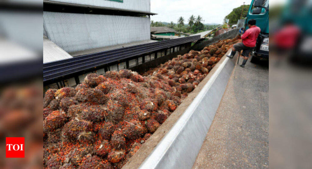 Government removes import restrictions on refined palm oil till December - Times of India