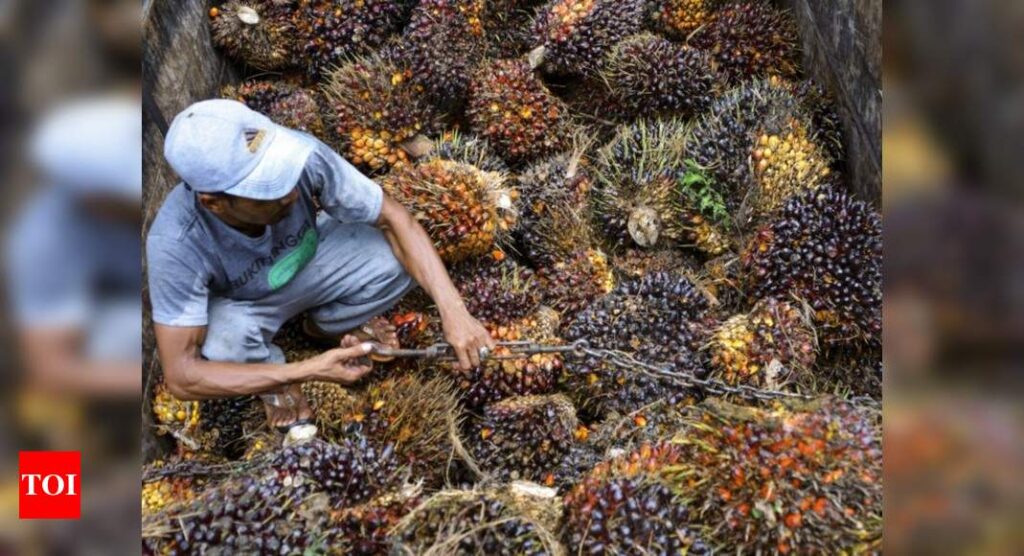 Govt cuts import duty on crude palm oil to lower retail edible oil prices - Times of India