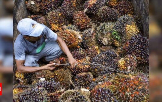 Govt cuts import duty on crude palm oil to lower retail edible oil prices - Times of India