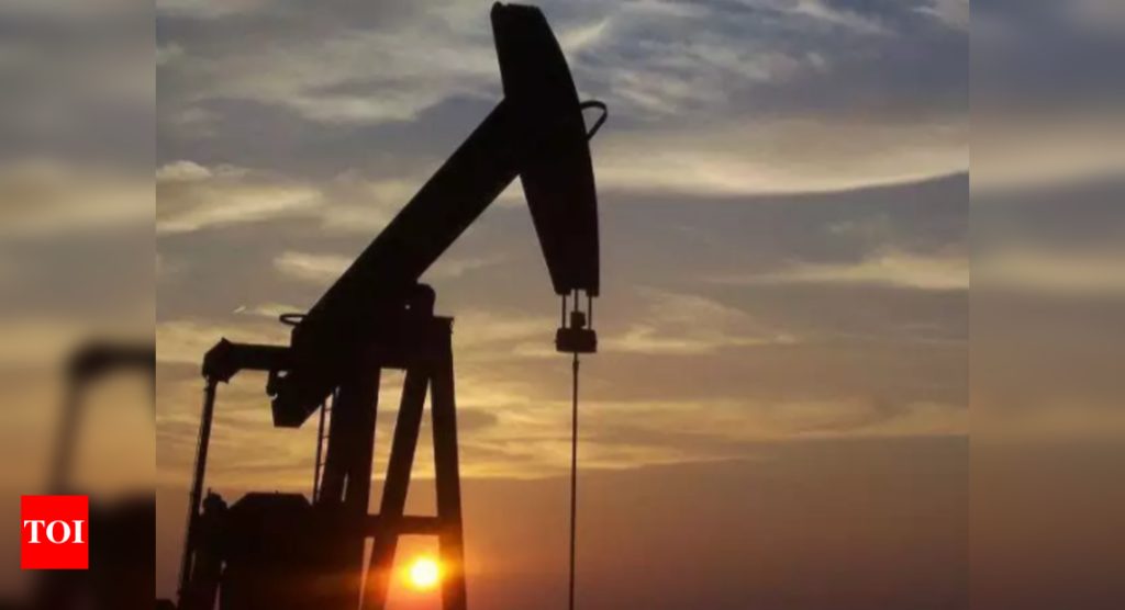 India offers 32 areas in latest small oil, gas field auction - Times of India