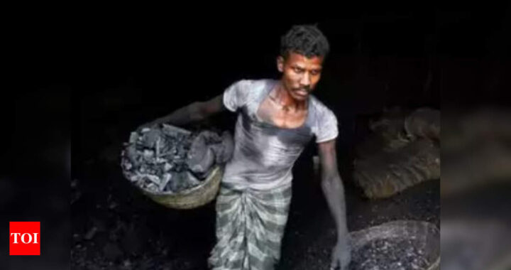 India's coal import rises 30% to 22 million tonnes in April - Times of India