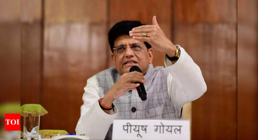 Many large e-commerce firms have blatantly flouted laws of land: Piyush Goyal - Times of India