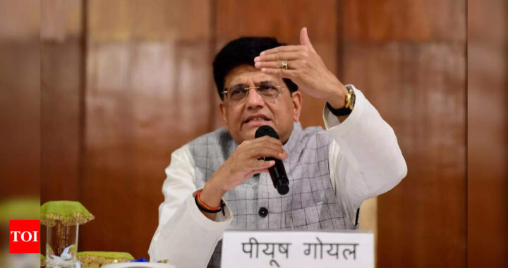 Many large e-commerce firms have blatantly flouted laws of land: Piyush Goyal - Times of India