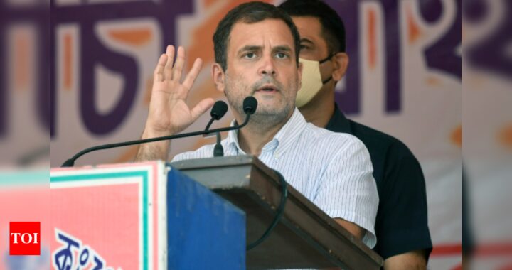 Rahul Gandhi takes a dig at Modi government over fuel prices - Times of India