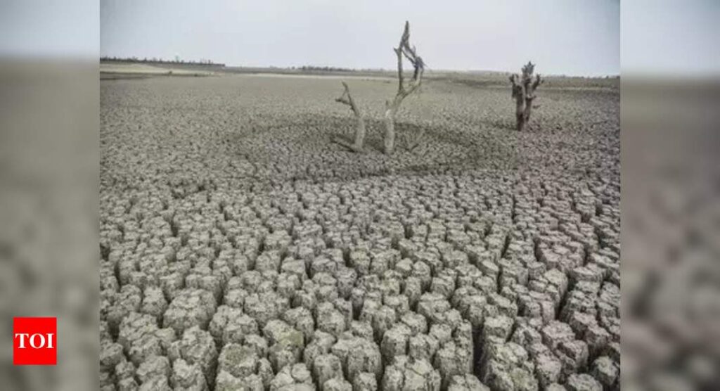 Severe droughts to impact 2-5% of India's GDP: UN report - Times of India