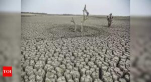 Severe droughts to impact 2-5% of India's GDP: UN report - Times of India