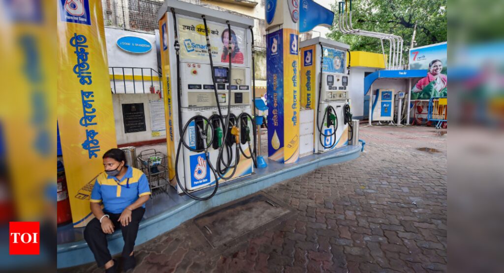 Fuel rates continue to soar; CNG, PNG prices also hiked in NCR - Times of India