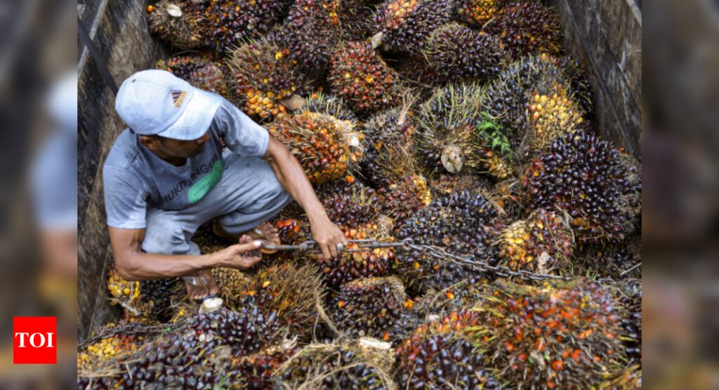 India's June palm oil imports down 24% from previous month - Times of India