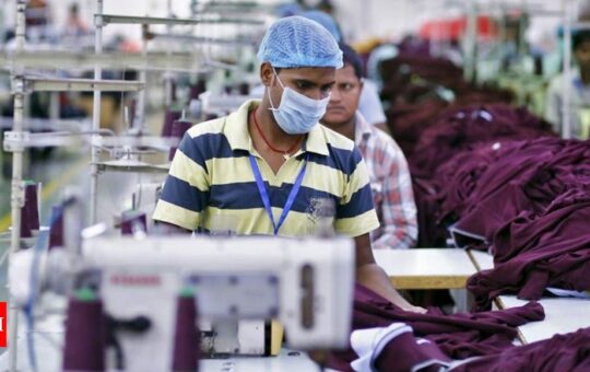 MSMEs need most policy attention, govt to do whatever required to promote sector: Niti Aayog VC - Times of India