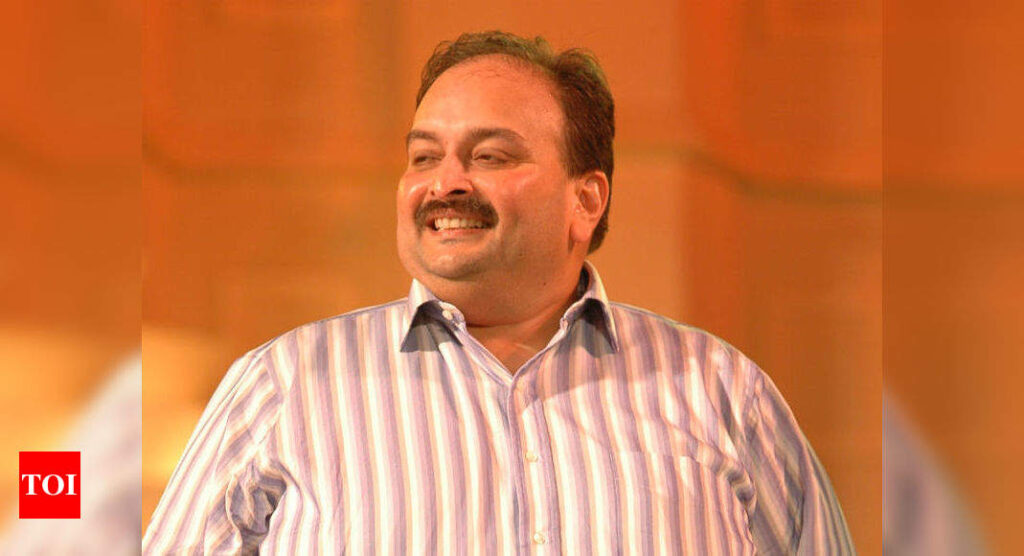 PNB scam: Mehul Choksi's aide gets bail - Times of India