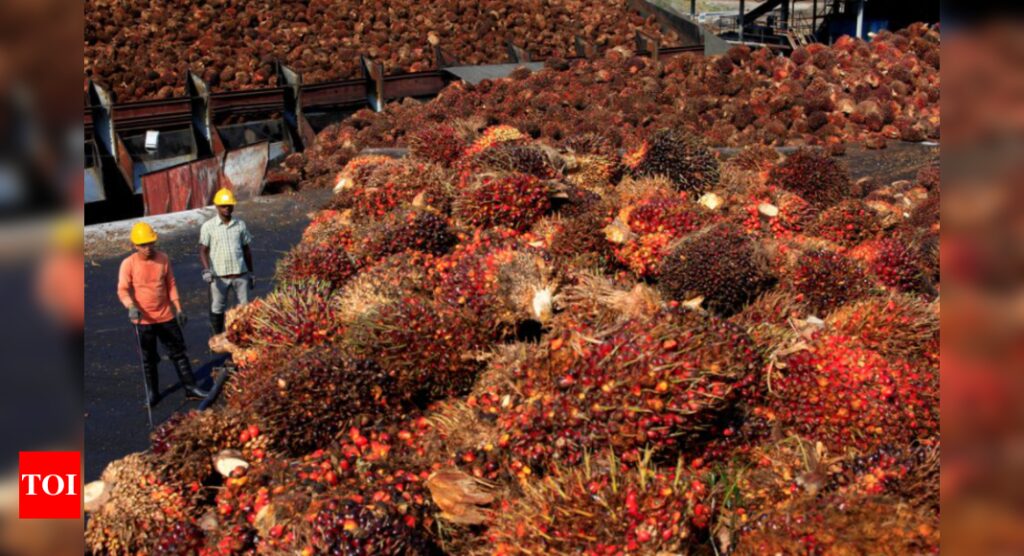 Palm oil prices rise in India even after import duty cut - Times of India