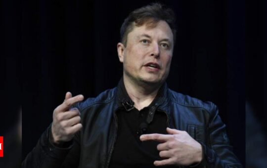 Tesla CEO Elon Musk expects at least 'temporary relief' for EVs in India in terms of import duty relaxation - Times of India