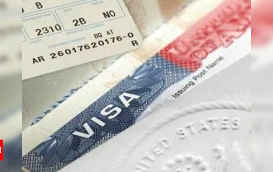 US to hold rare second lottery for H-1B visa applicants - Times of India