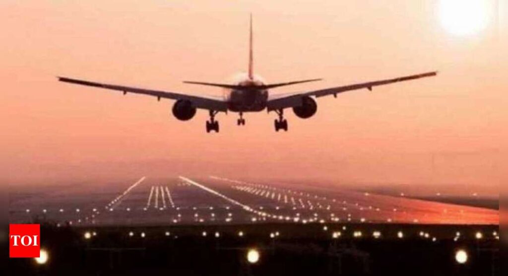 Govt allows 7.5% more domestic flights - Times of India