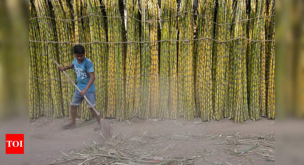 Govt approves highest ever FRP of Rs 290 per quintal on sugarcane for 2021-22 - Times of India