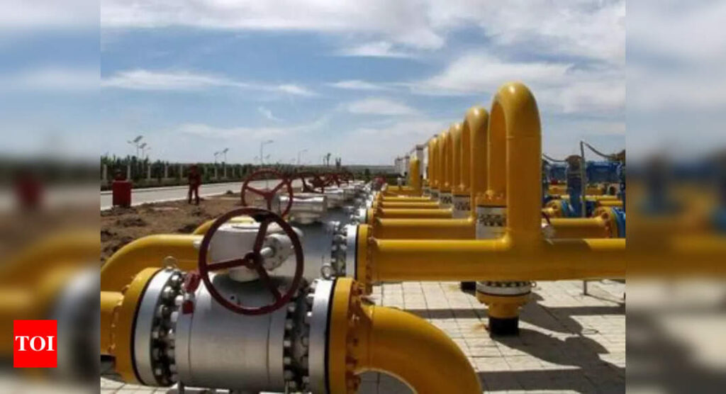 New LNG plant starts next year, to boost import capacity by 12% - Times of India