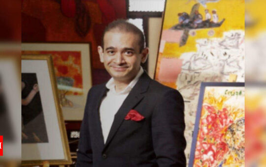 Nirav Modi granted permission to appeal his extradition to India on mental health grounds and suicide risk - Times of India