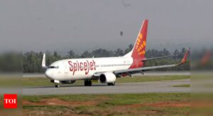 SpiceJet pilots under pay-cut stress, safety hit, alleges ex-Capt; airline denies allegation - Times of India