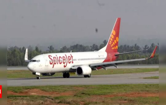 SpiceJet pilots under pay-cut stress, safety hit, alleges ex-Capt; airline denies allegation - Times of India