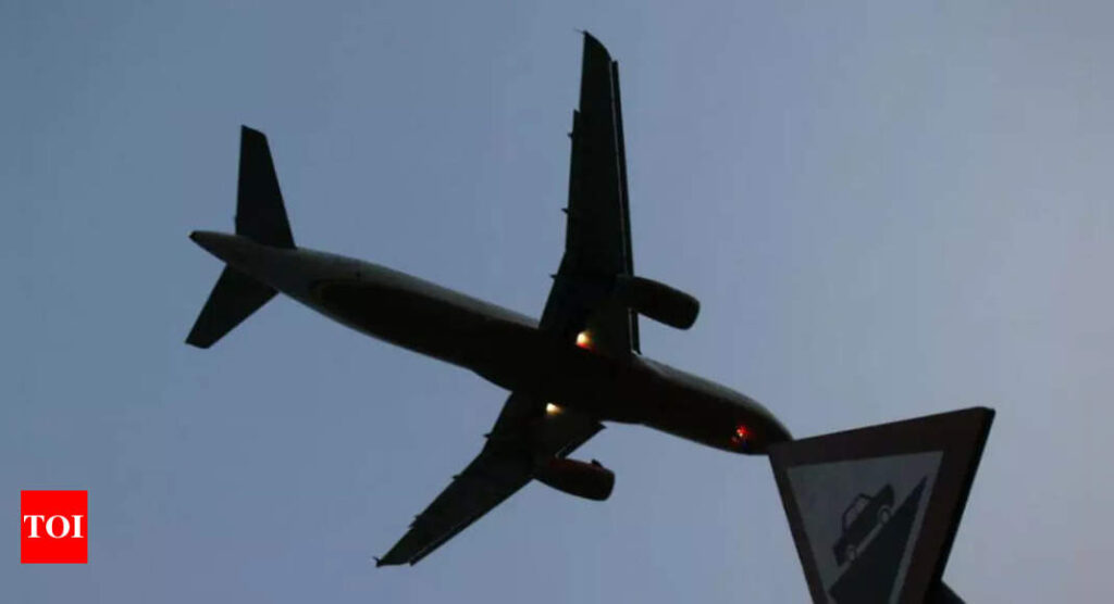 Airlines can now operate 85 per cent of pre-Covid domestic flights: Aviation ministry - Times of India