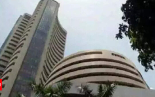 Bull run: Another day of sensex, Nifty highs - Times of India