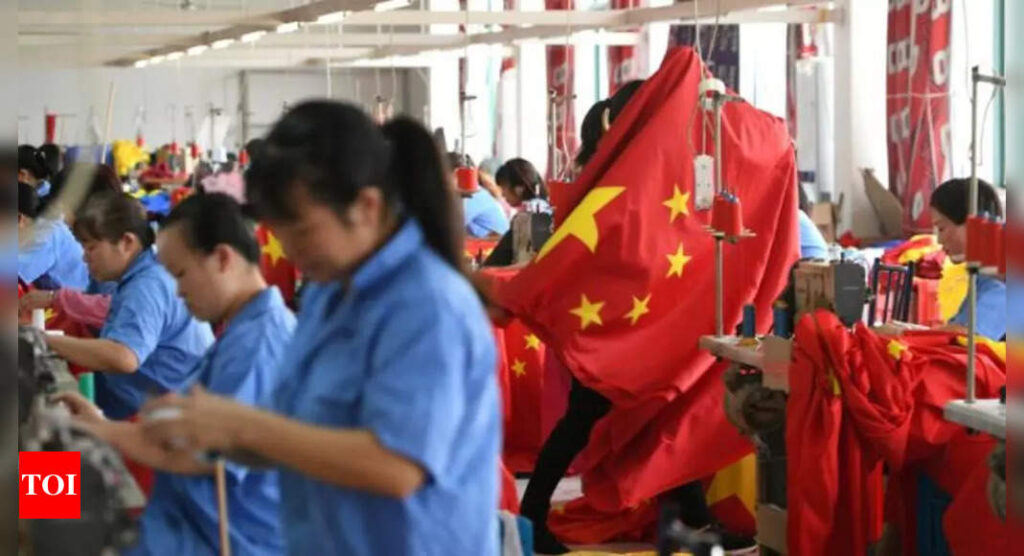China hidden local government debt is half of GDP, Goldman says - Times of India